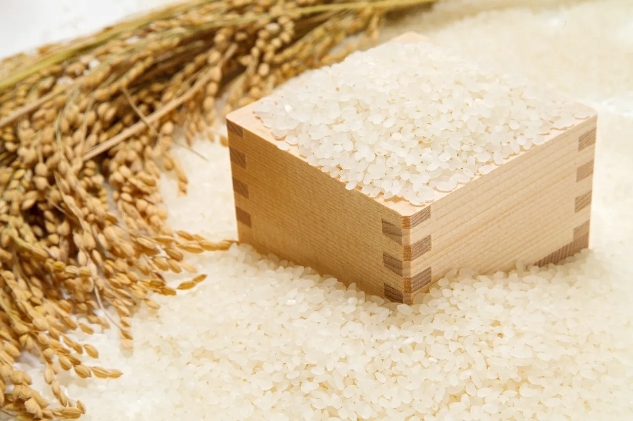 Rice